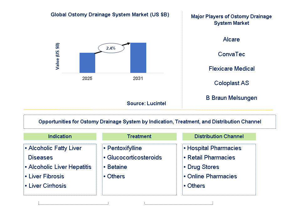 Ostomy Drainage System Market Trends and Forecast